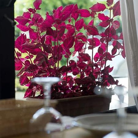 Hotel Annarita Ρίμινι Εξωτερικό φωτογραφία